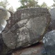 Old Blue #16 thumbnail