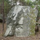 La Marbrée thumbnail
