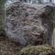 Венок из одуванчиков / Wreath of Dandelions thumbnail