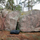 Halipula thumbnail