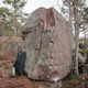 Perse edellä puuhun thumbnail
