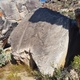 Seldom slab thumbnail