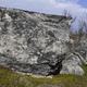 Blåhakemantlingen thumbnail