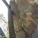 Rail Grinder thumbnail