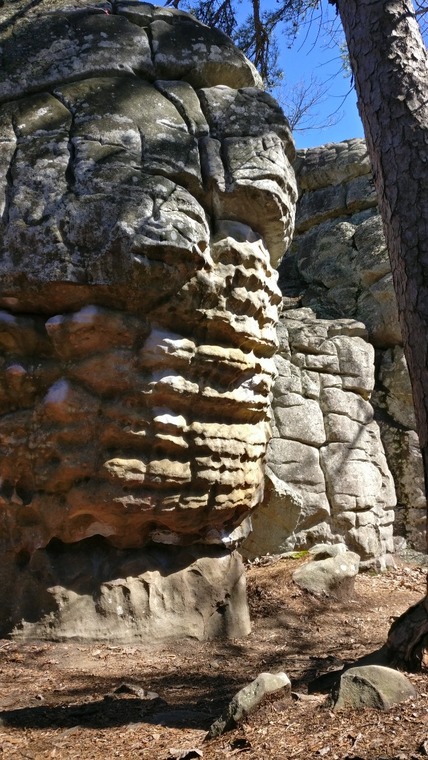 Upper maze