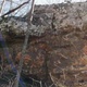 Chex-1 thumbnail