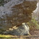 Scoop-1 thumbnail
