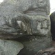Dans les Bois Éternels thumbnail