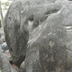 Blue 39 thumbnail
