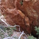 Low hanging fruit thumbnail