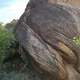 Bar Exam thumbnail