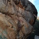 Line in the sand thumbnail