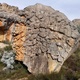 Brain thumbnail