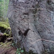 Ущелье / Gorge thumbnail