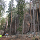 Petosryhmä thumbnail