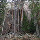 Mänty thumbnail