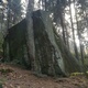 Letohlav thumbnail