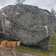 Låg start thumbnail
