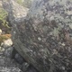 Shitmaster thumbnail
