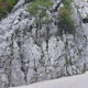 Petar Pan thumbnail