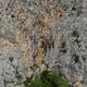 Pipl mast trast as integral thumbnail