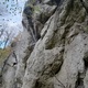 Topolina thumbnail