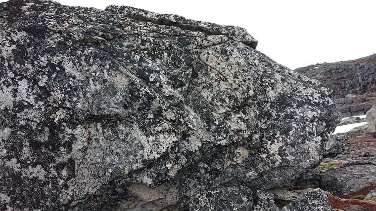 Qivitoq