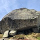 Ringo star thumbnail