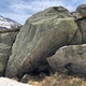 Vomitors thumbnail