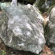 Globulka thumbnail