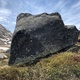 Nero d'Avola thumbnail