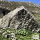 Marmotin thumbnail