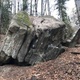 Nicpoń thumbnail
