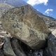 Sissy dog thumbnail
