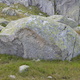 La ferula thumbnail