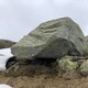 Doolittle thumbnail