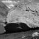 Giovani Marmotte thumbnail