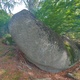 Glaurung stand thumbnail