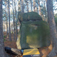 Bokovka thumbnail
