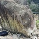 투게더 (together) thumbnail