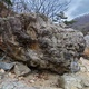 친구들 thumbnail