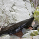 Salamandre thumbnail