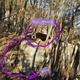 독사과 thumbnail