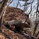 @min_minsu_su thumbnail