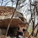 백설공주 thumbnail