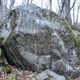 Chestnut five thumbnail