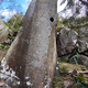 Psohlavci thumbnail