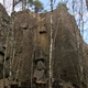 Kanttinäätä thumbnail