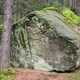 Bombastium thumbnail
