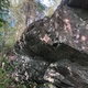 Tooth thumbnail